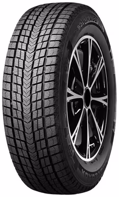 ROADSTONE Winguard Ice Suv