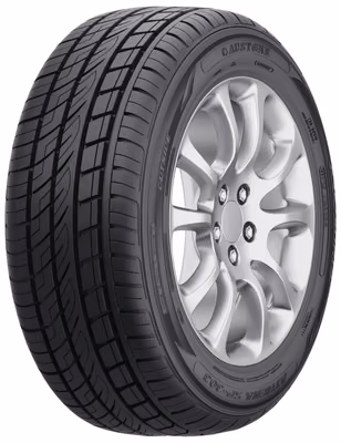 AUSTONE SP303
